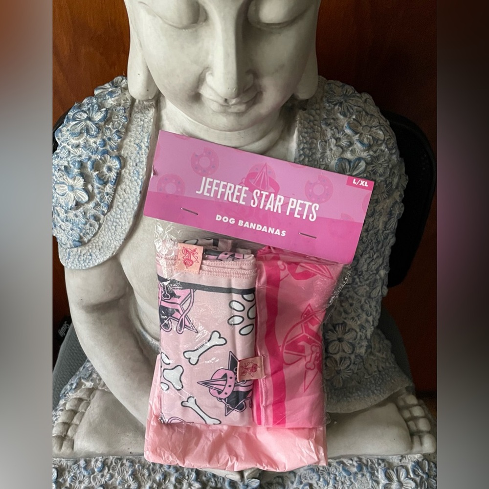 Pink Bandannas